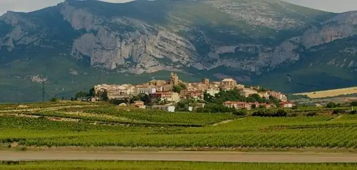 Vista exterior de Edifici en venda en Baños de Ebro / Mañueta