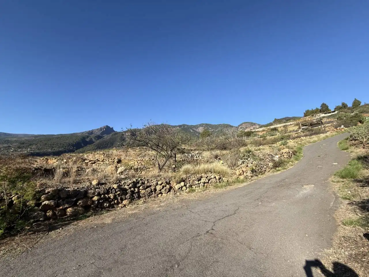 Rural land for sale in Camino Montesinas, imagen 15