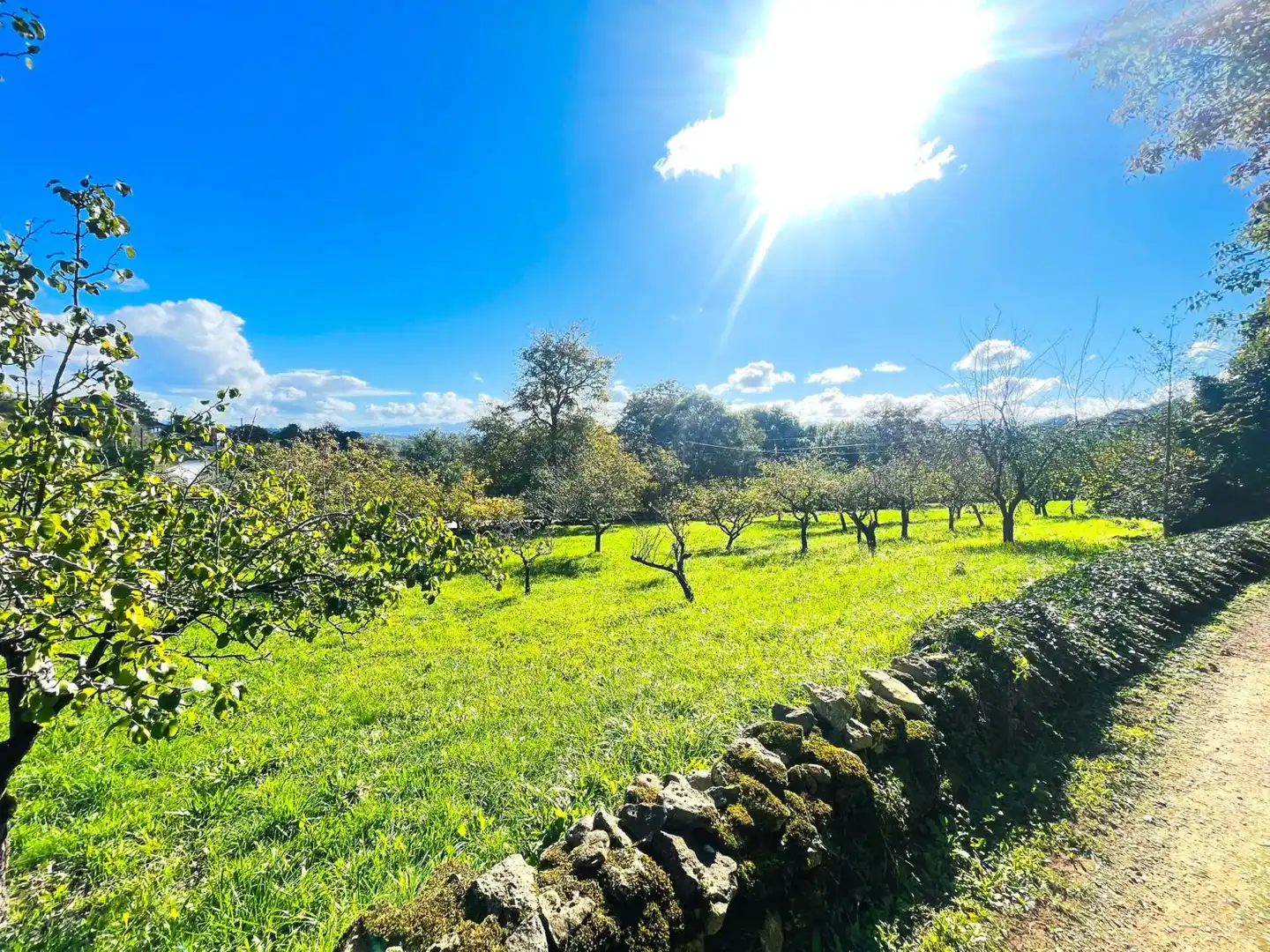 Casa o xalet en venda en Llanera amb Traster