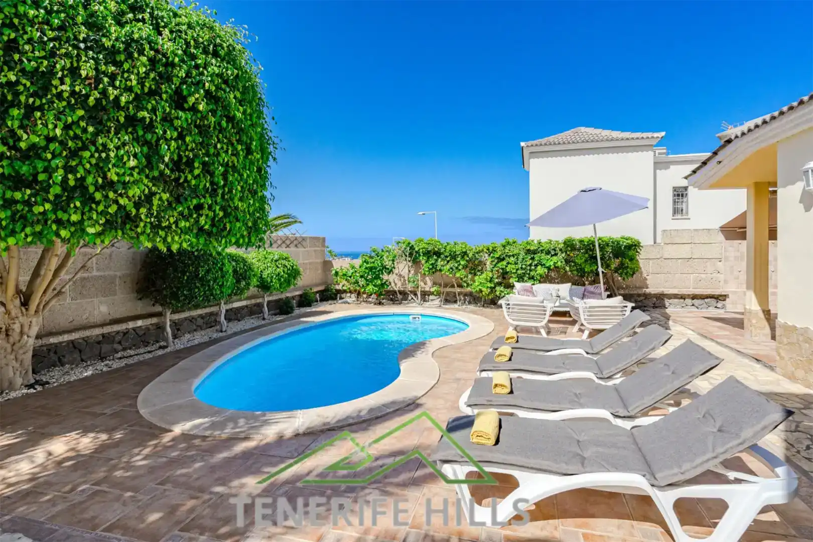 Vista exterior de Casa o chalet en venta en Adeje con Aire acondicionado, Piscina y Balcón