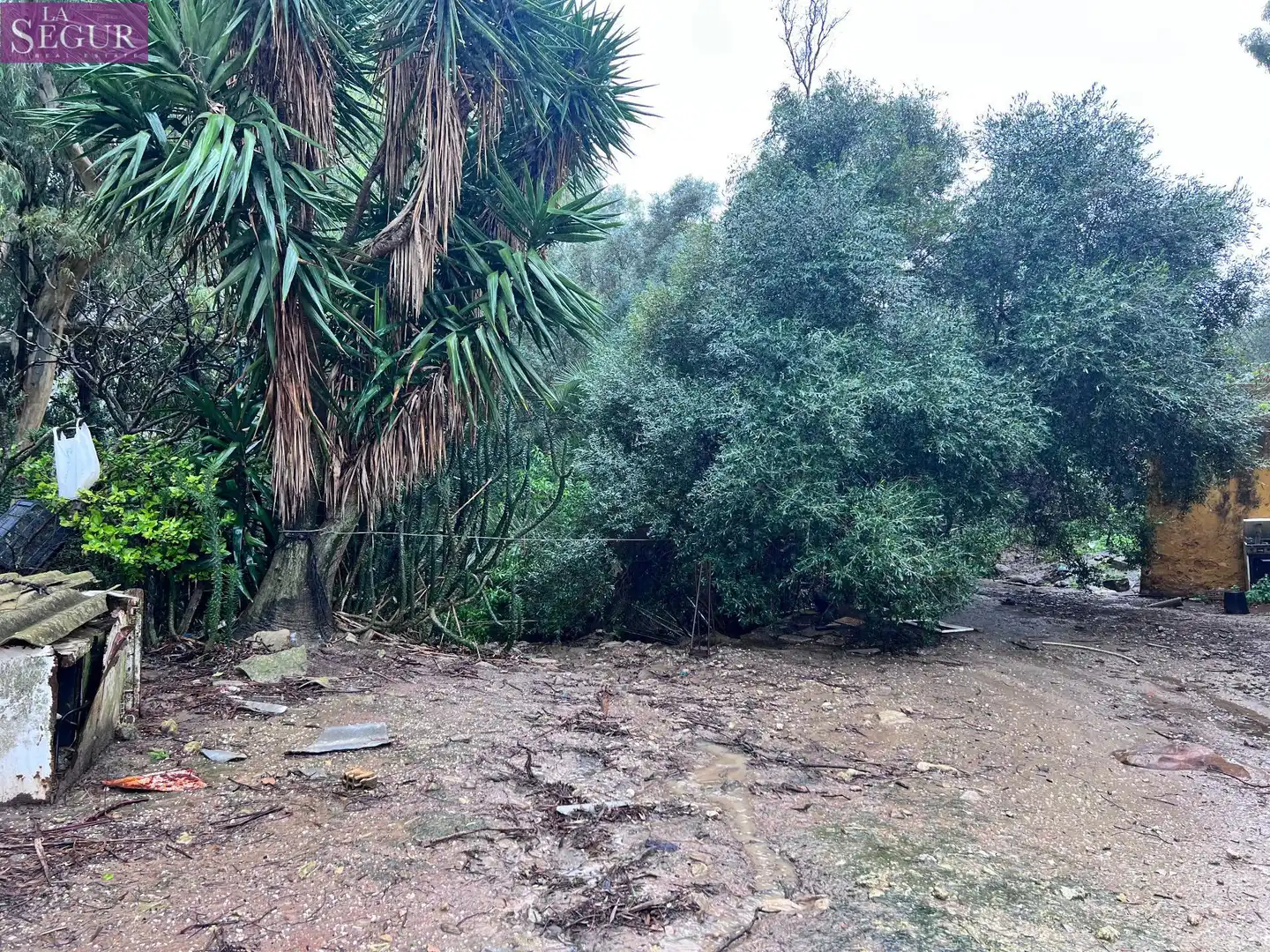 Finca rústica en venda en Vejer de la Frontera amb Jardí privat