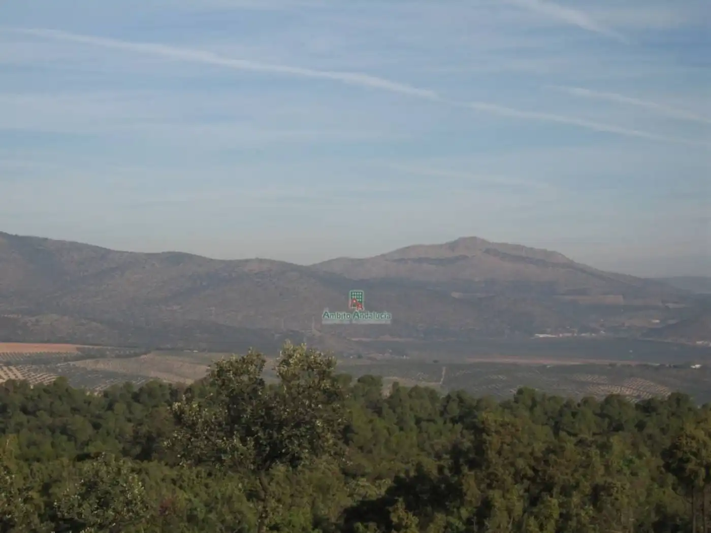 Rural land for sale in Iznalloz