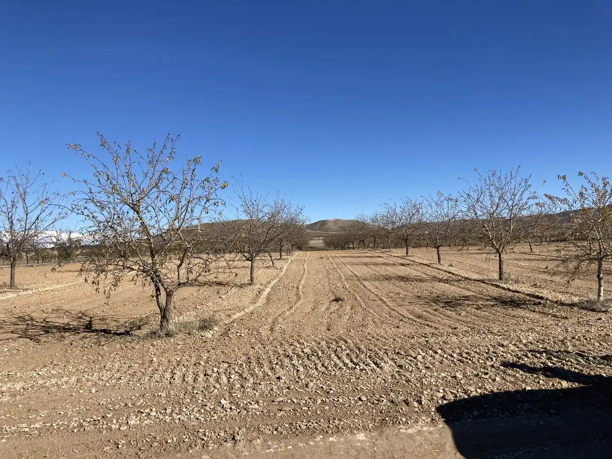 Rural land for sale in Pr Pago Del Campillo, imagen 8