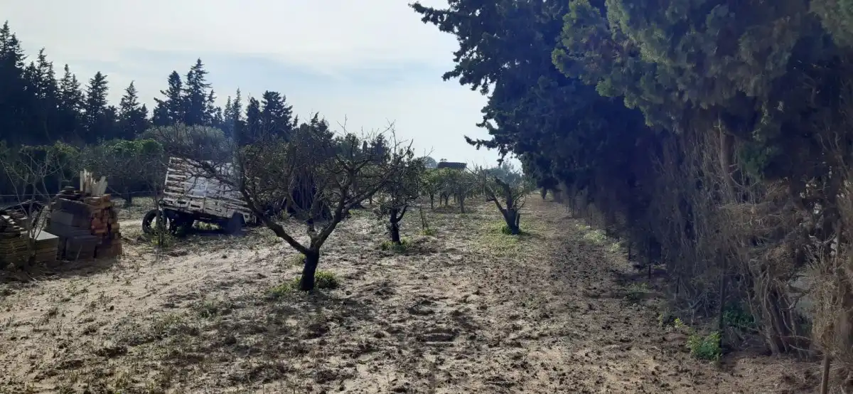 Residential land for sale in La Coquina, imagen 3