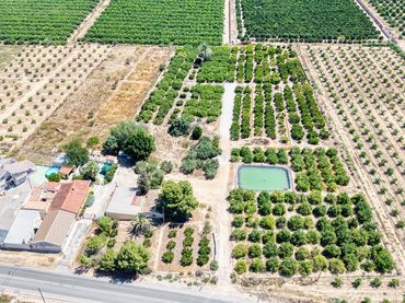 Villa avec piscine à vendre à Calle Barrio lo marques la matanza 17 CV-868