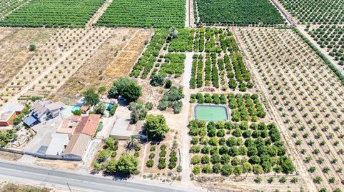Chalet con piscina, barbacoa y parcela de 14.346m en Orihuela