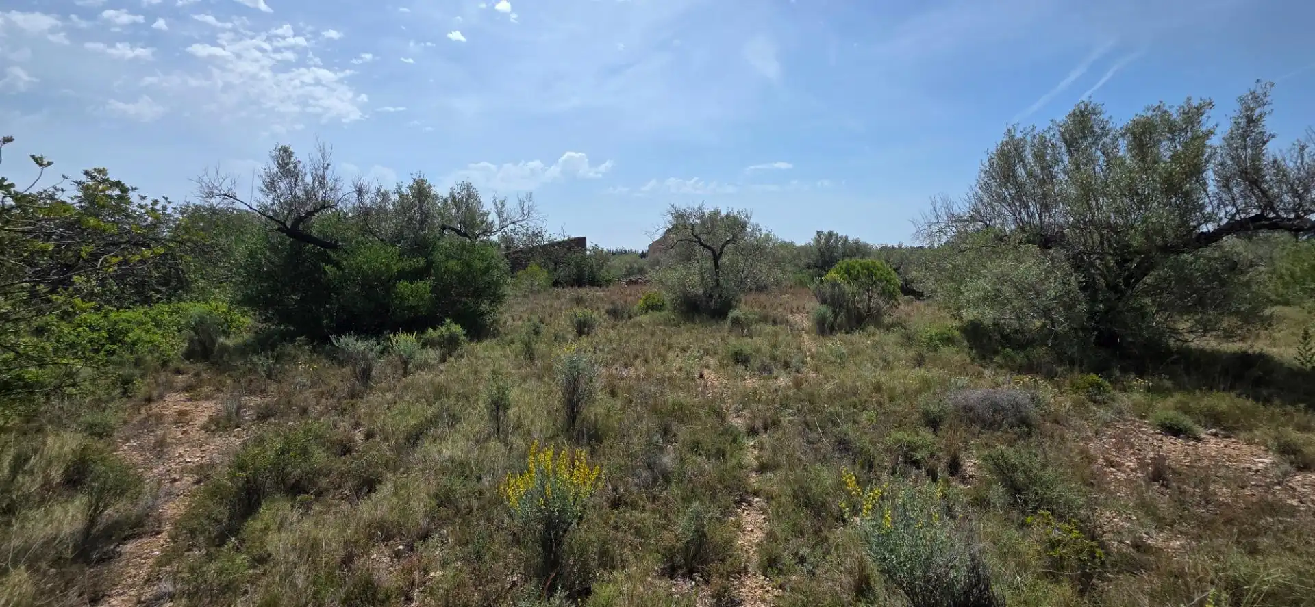 Landhaus zum Verkauf in L'Ametlla de Mar pueblo, imagen 9