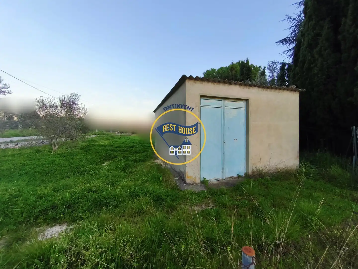 Rural land for sale in El Pilar, imagen 5
