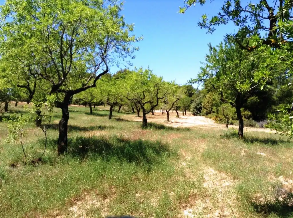 Terreni e lotti in vendita a Arens de Lledó, imagen 4