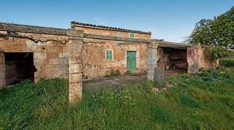 Finca rústica en venta en Maria de la Salut, Mallorca, imatge 5