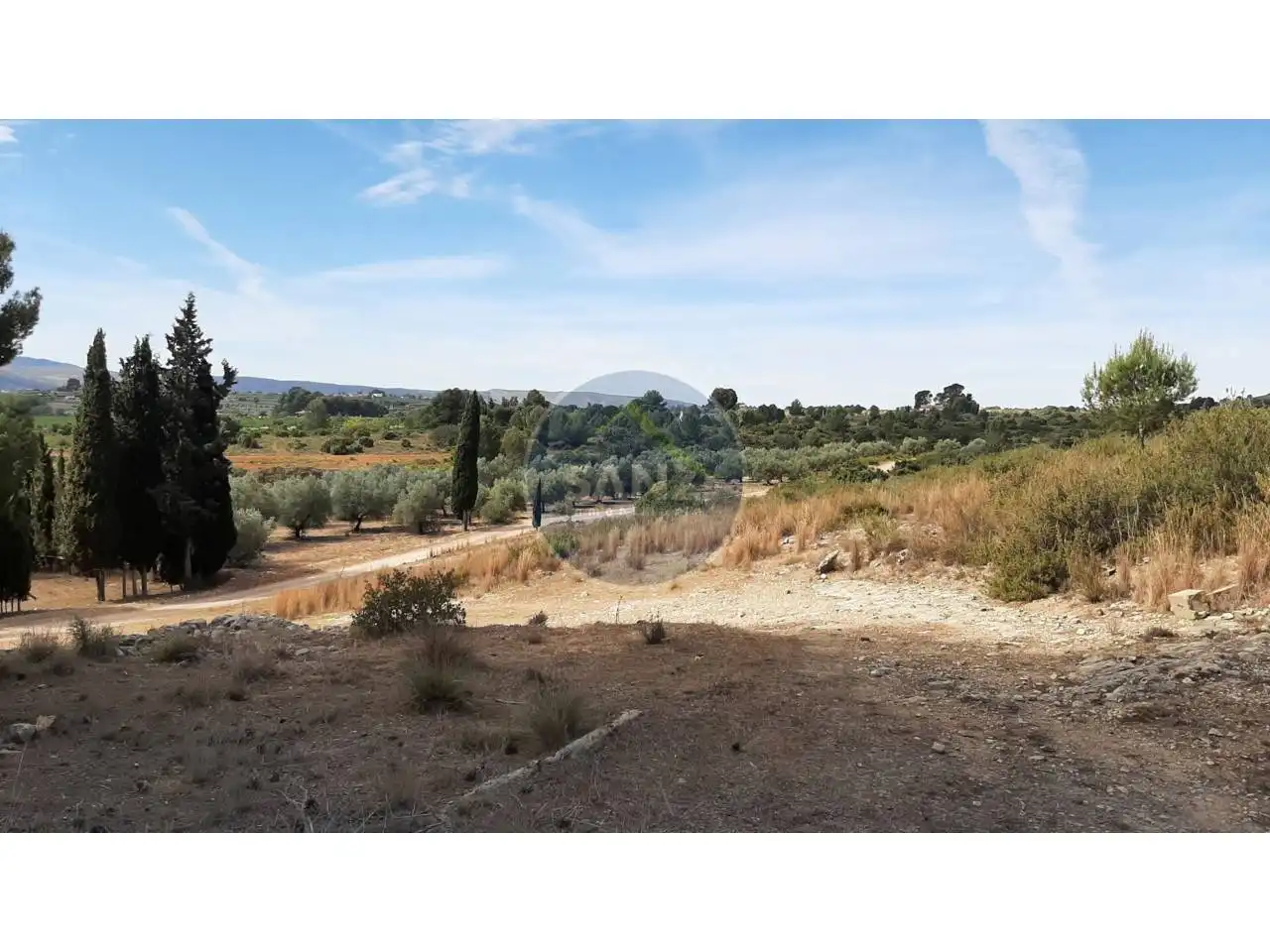 Terrain rustique à vendre à Calle Partida la Baronia, imagen 20