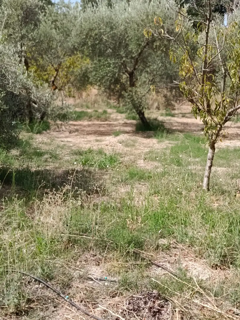 Terreni e lotti in vendita a Camino de las Huertas Grandes, imagen 5