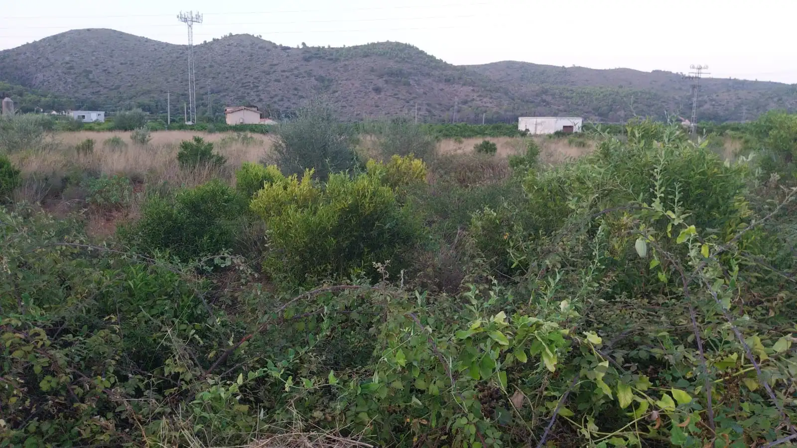 Nave industrial in vendita a camí Racó dels Frares, imagen 17