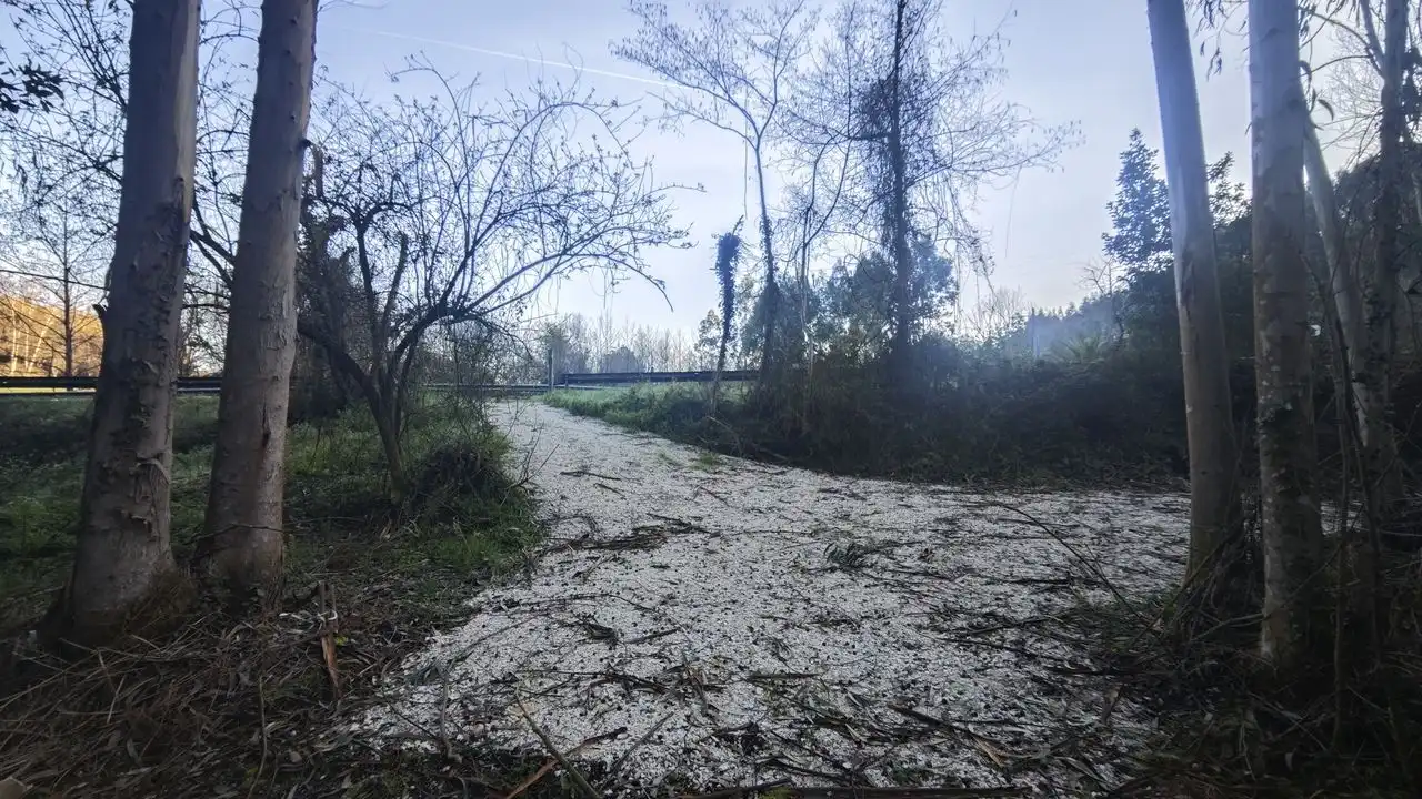 Terreno rustico in vendita a Pría - Nueva-Hontoria - Naves, imagen 9