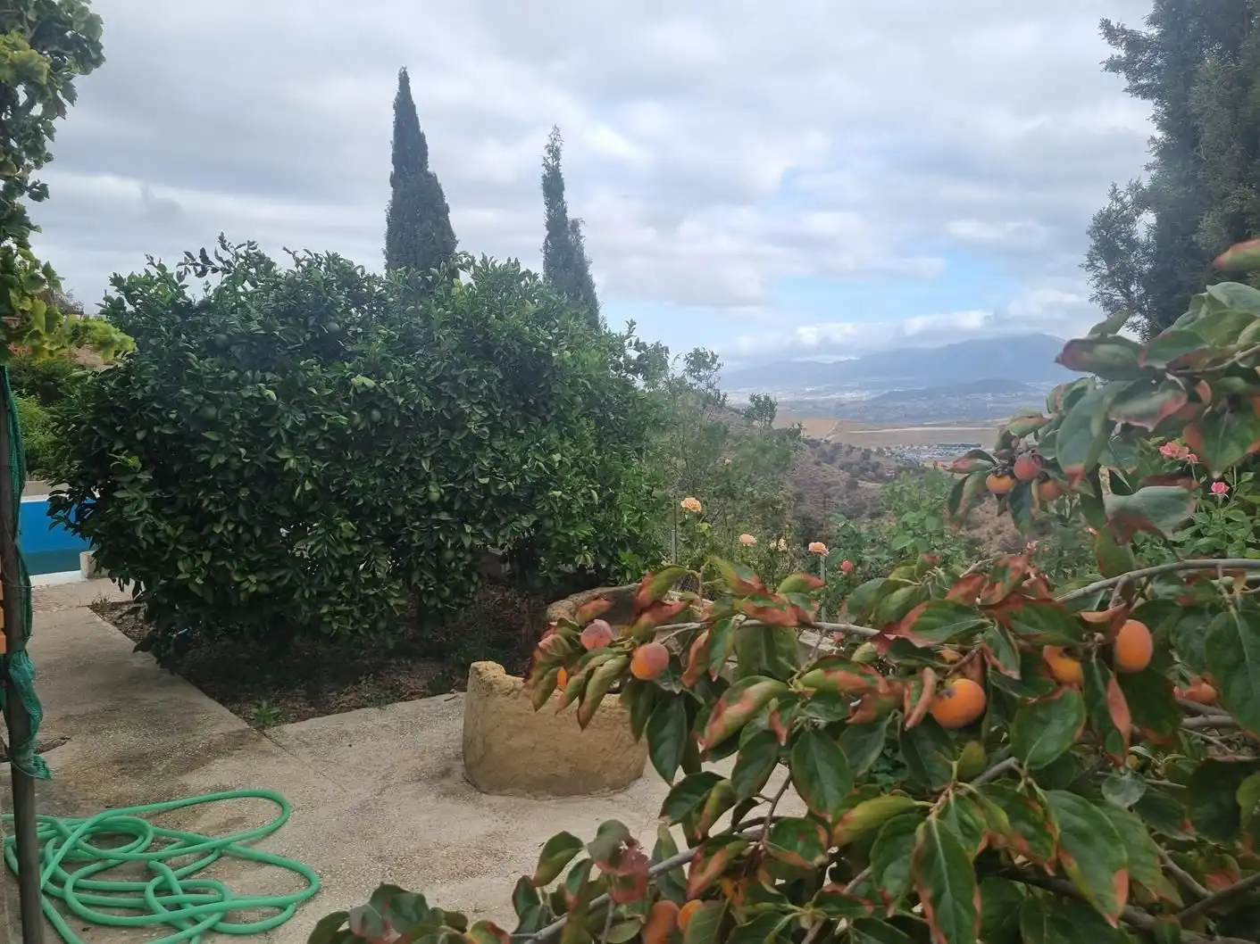 Jardín de Casa o chalet en venta en Casarabonela con Jardín privado, Terraza y Trastero
