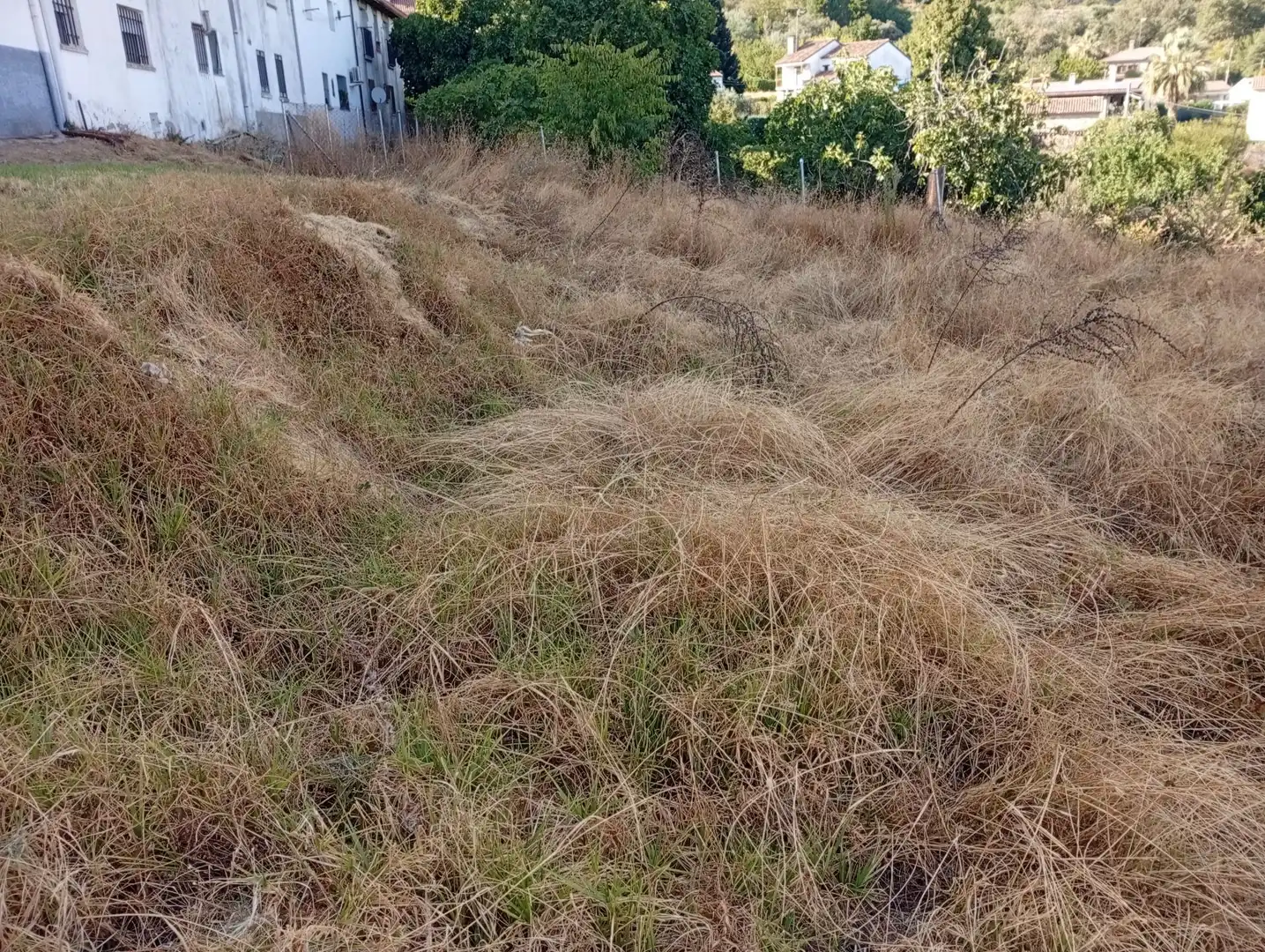 Terreni e lotti in vendita a Villanueva de la Vera, imagen 17