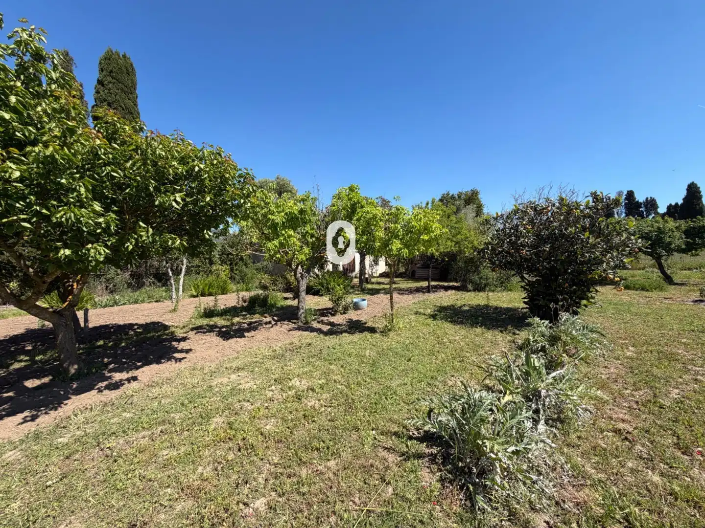 Finca rústica en venta en Binissalem
