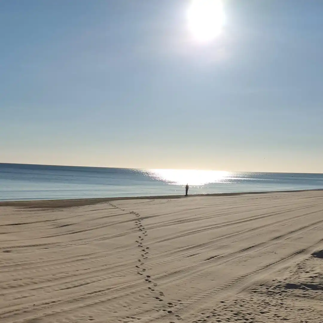 Apartment with terrace to rent in Los Arenales del Sol, imagen 26