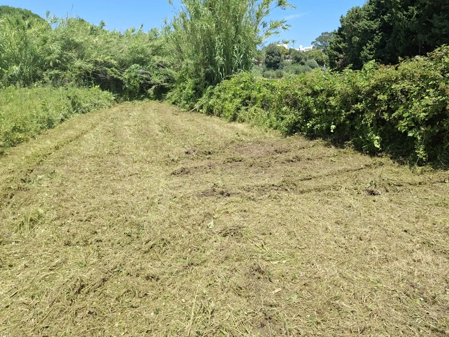 Terreno industrial en venta en La Vila