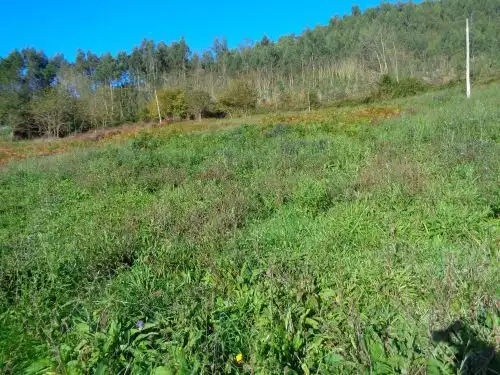 Terreno rustico in vendita a Parroquias suroccidentales, imagen 10