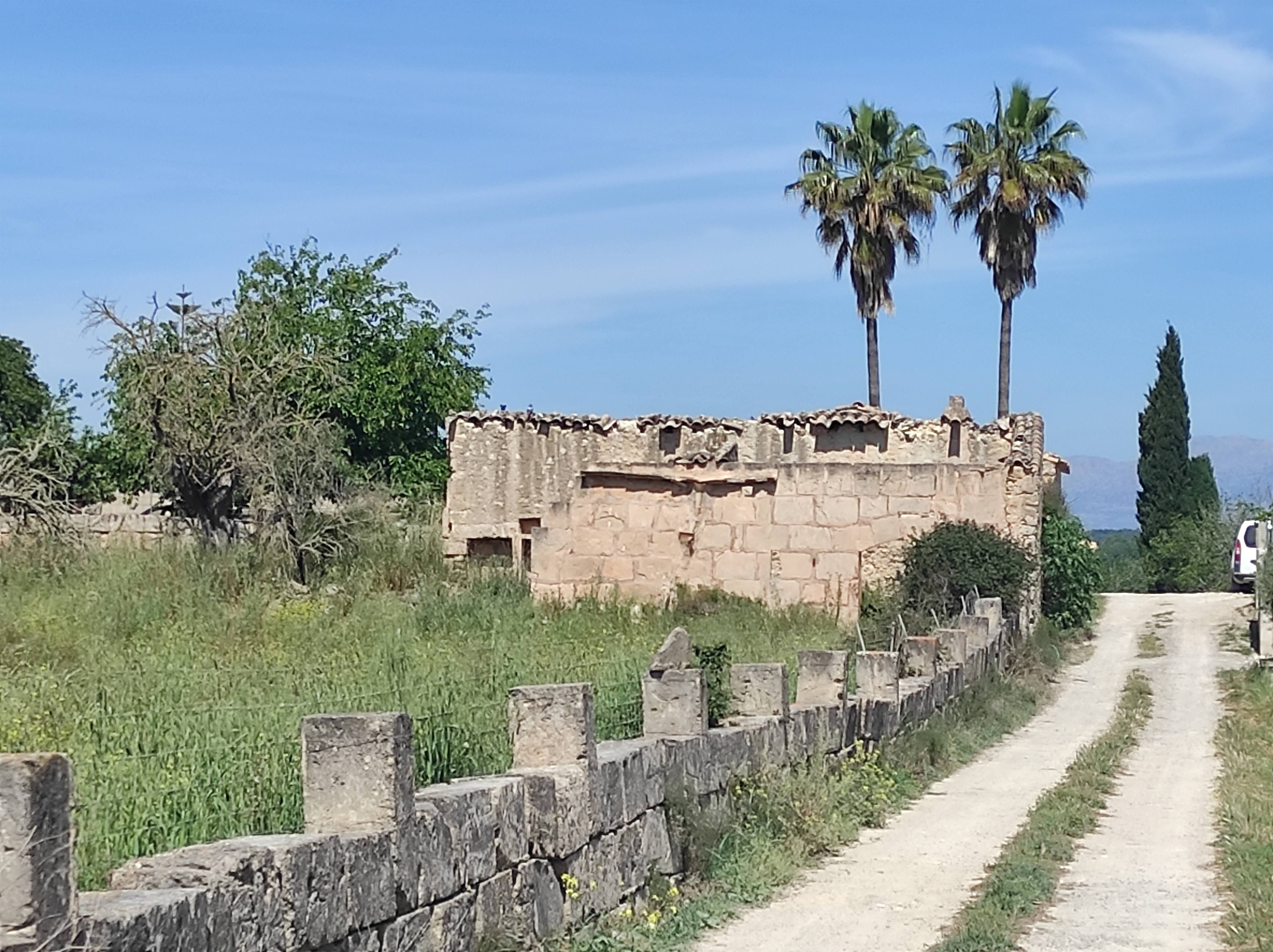 Vista exterior de Finca rústica en venta en Sineu