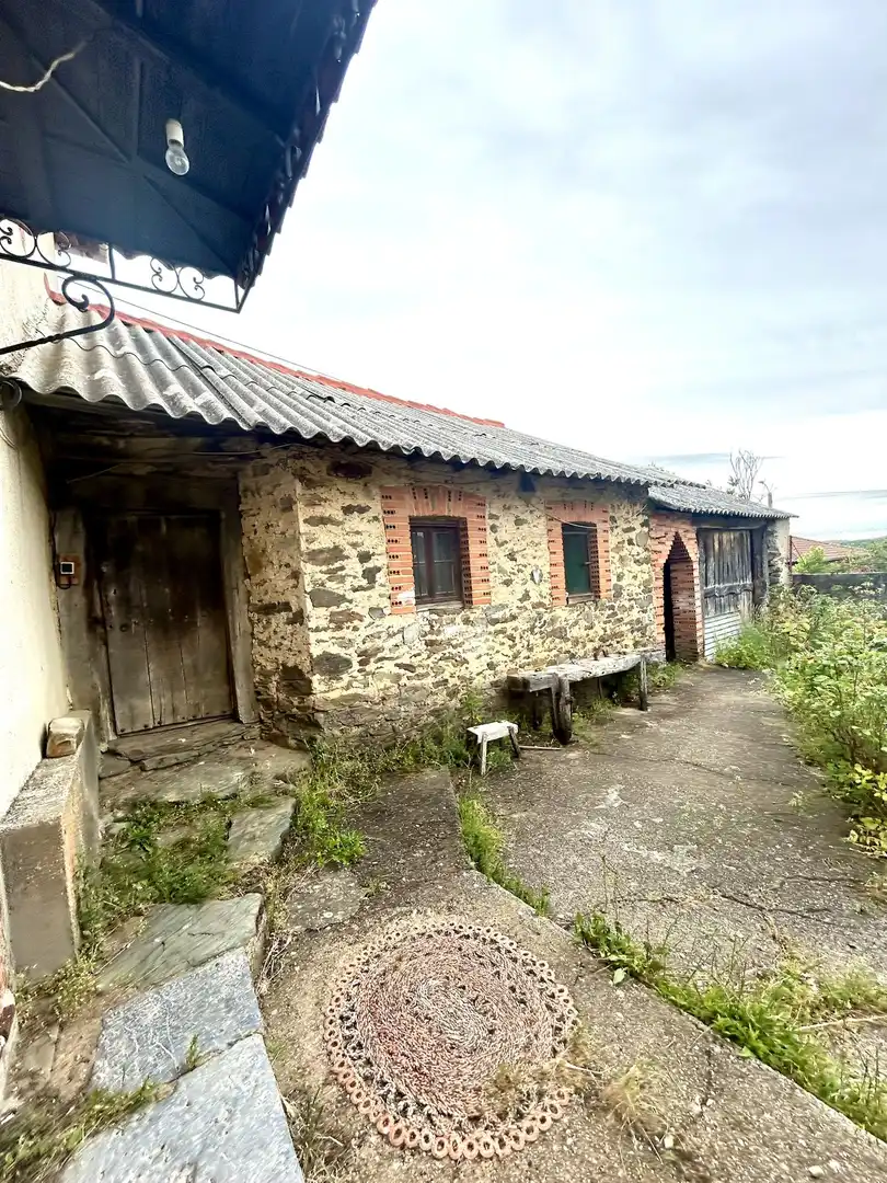 Vista exterior de Finca rústica en venta en Riello con Calefacción