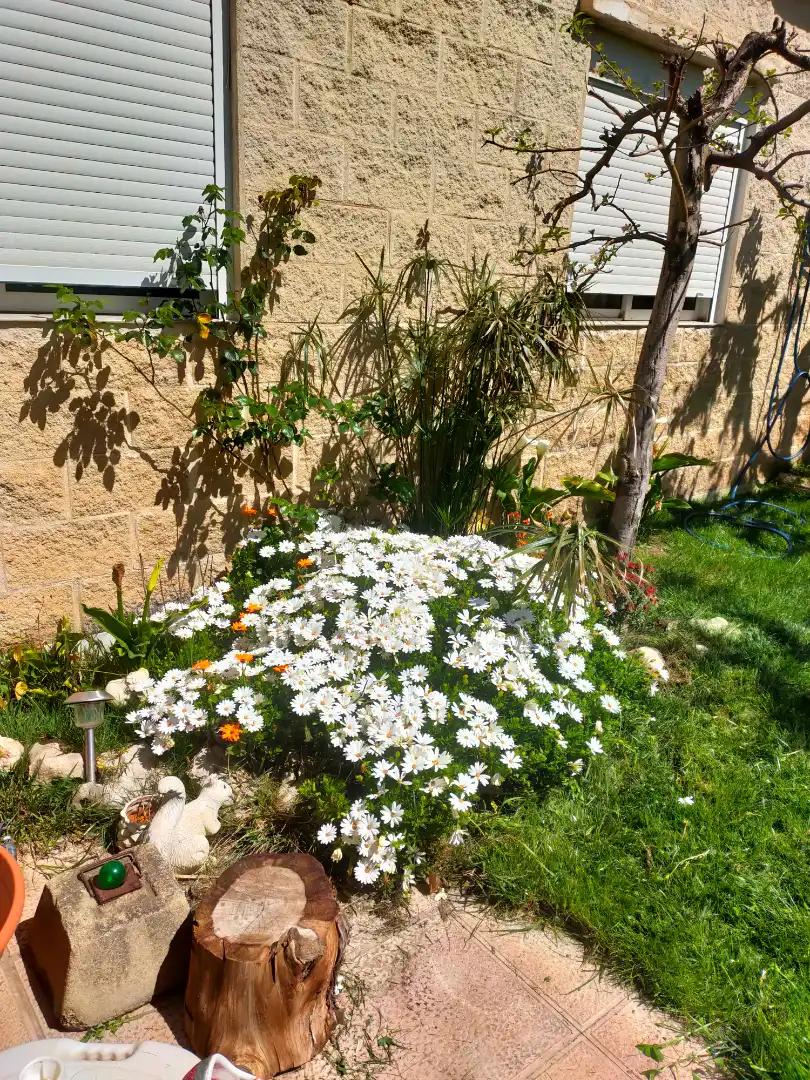 Jardín de Finca rústica en venta en Zaragoza con Aire acondicionado, Calefacción y Jardín privado