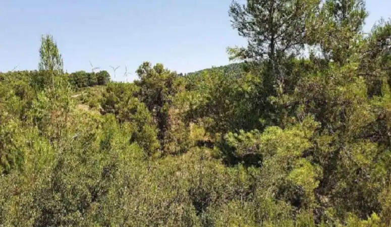 Terreno rustico in vendita a C/ Dehesa de Mojón Blanco