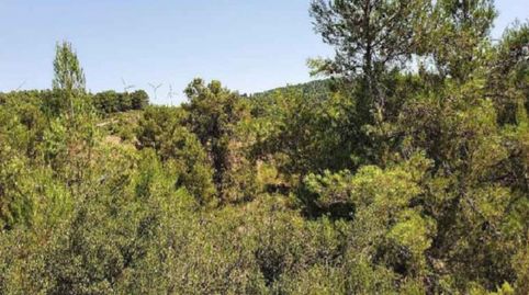 Solvia Inmobiliaria  Suelo Rústico Almansa