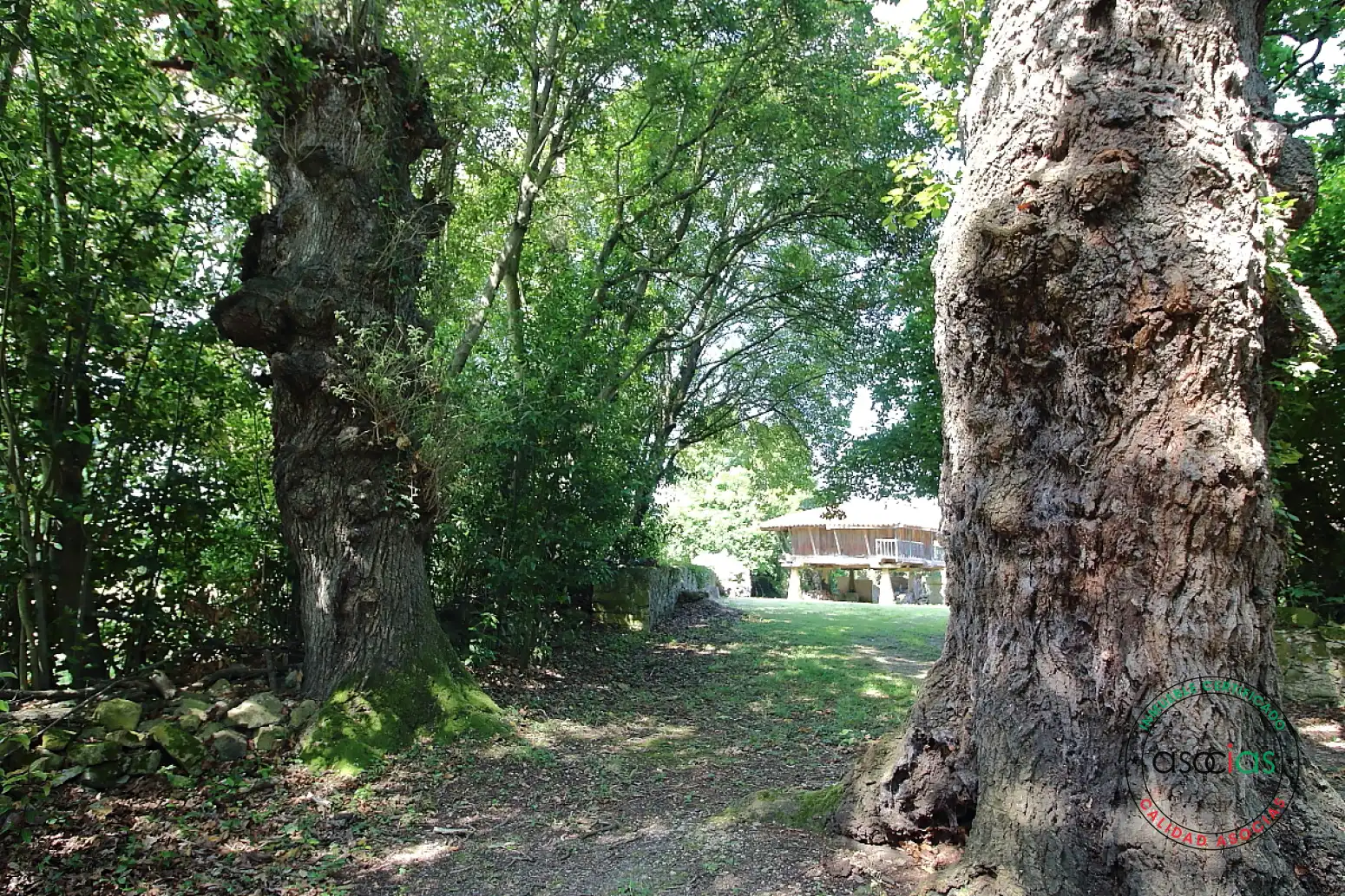 Casa in vendita a Somió - Cabueñes, imagen 55