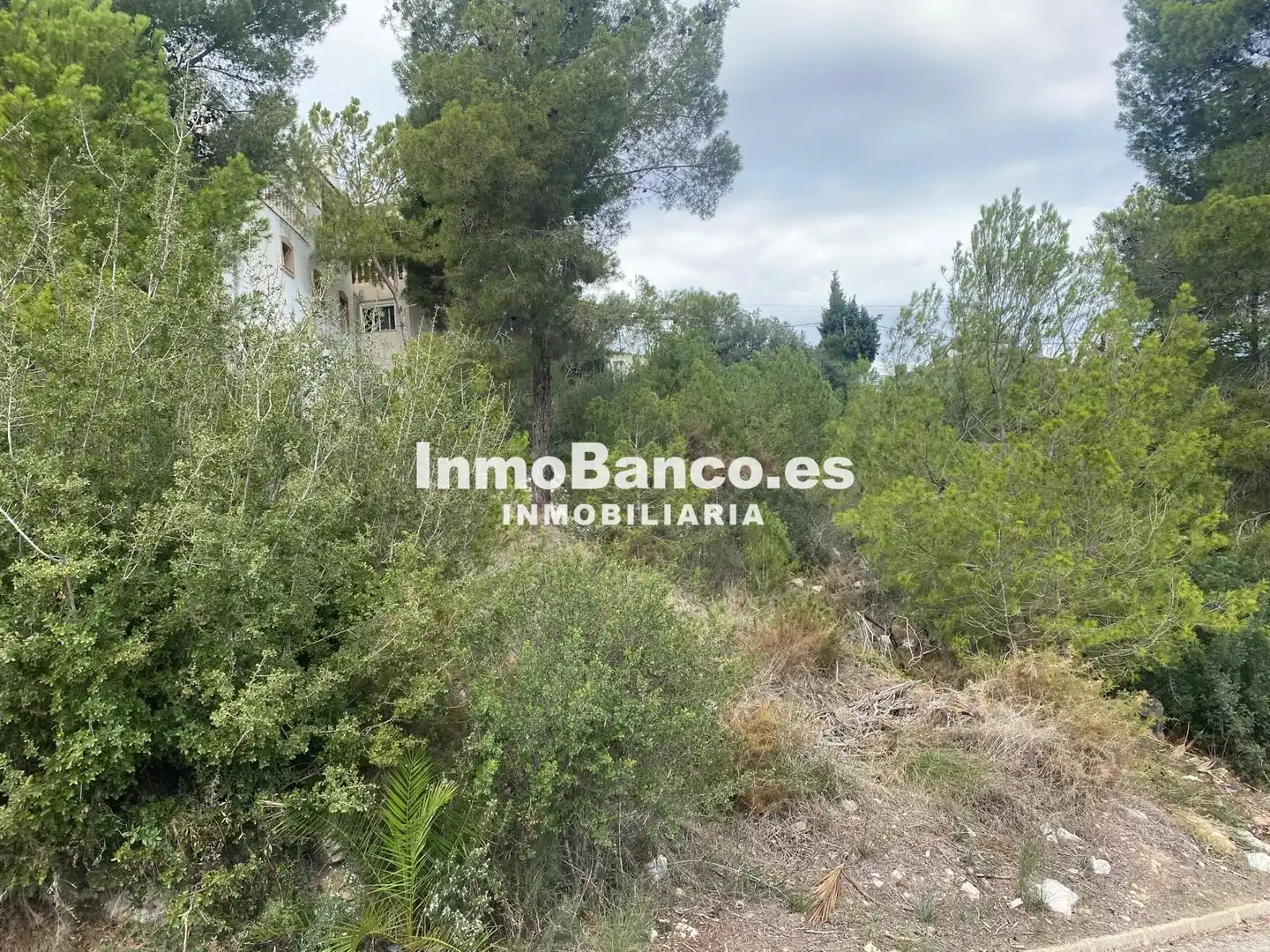 Terreny residencial en venda a Calle Pascual y Genís 869, imagen 2