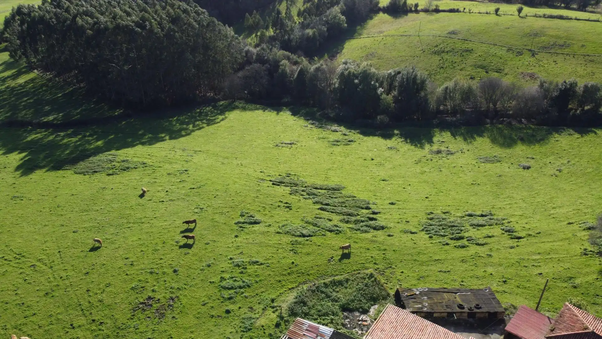 Casa o chalet en venta en Carreño con Calefacción, Jardín privado y Trastero