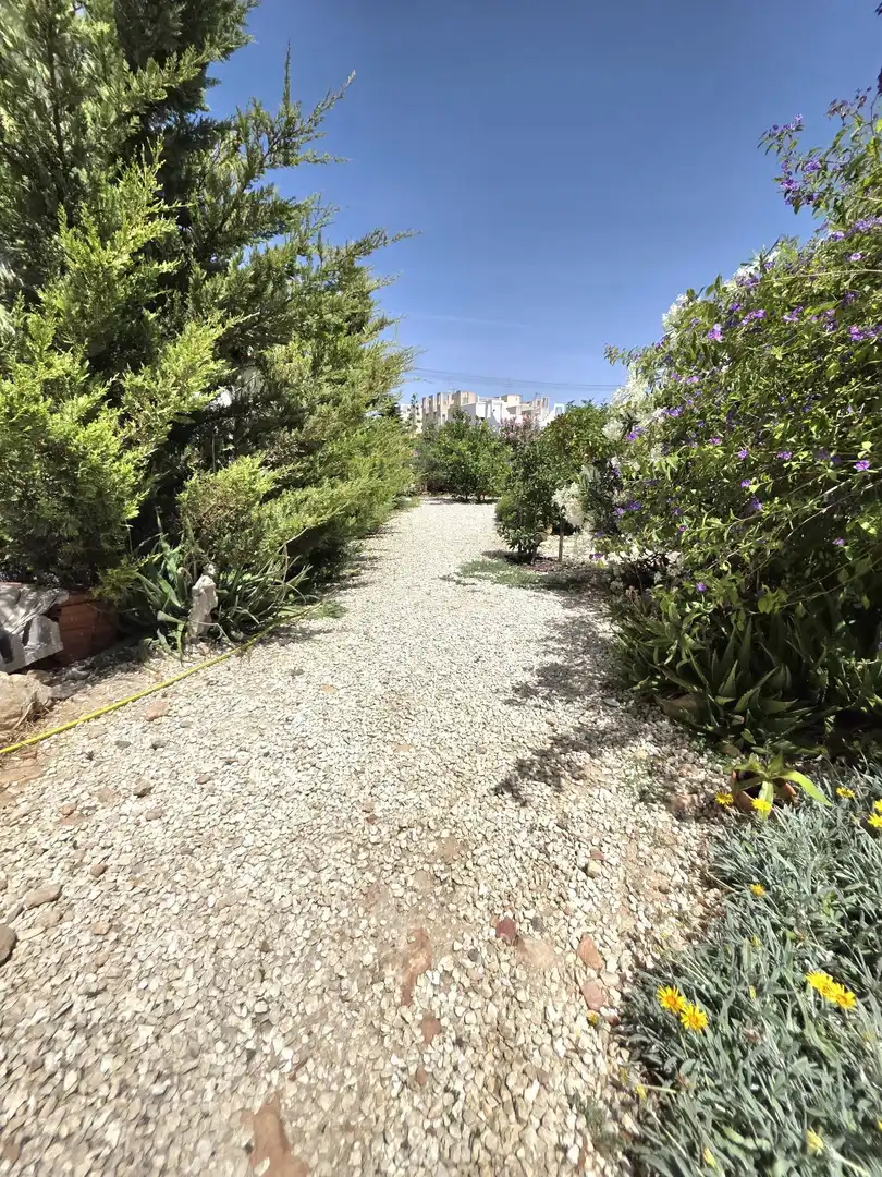 Jardí de Casa o xalet en venda en Torrevieja amb Aire condicionat, Jardí privat i Terrassa