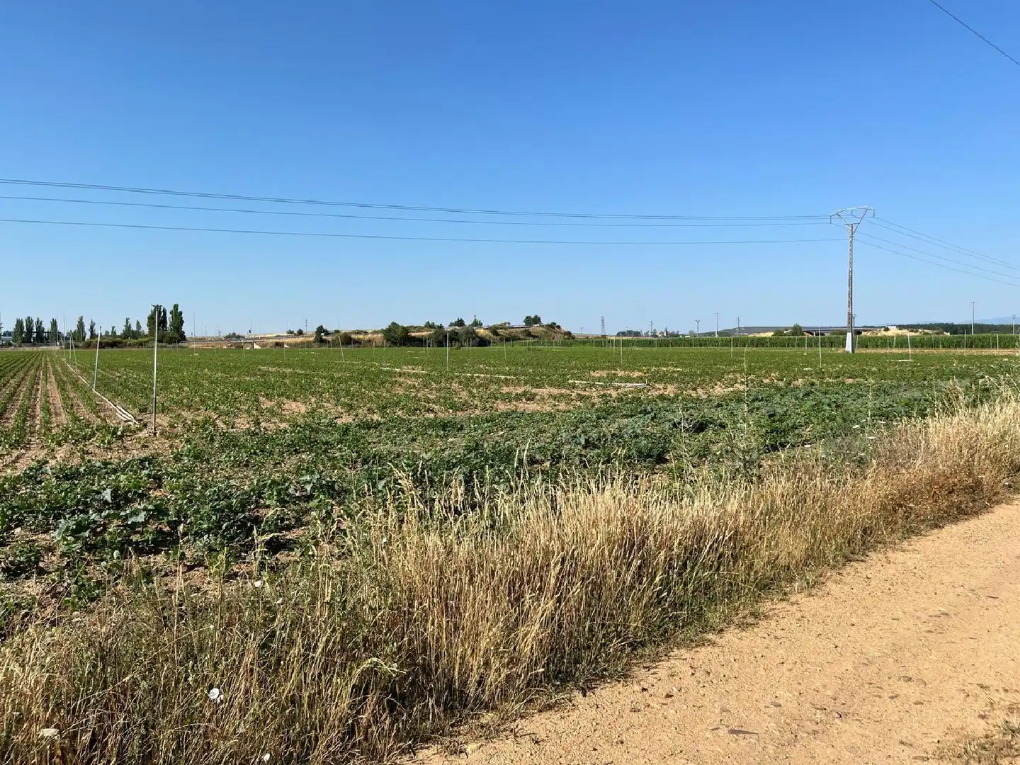 Nave industrial en venta en Hospital de Órbigo