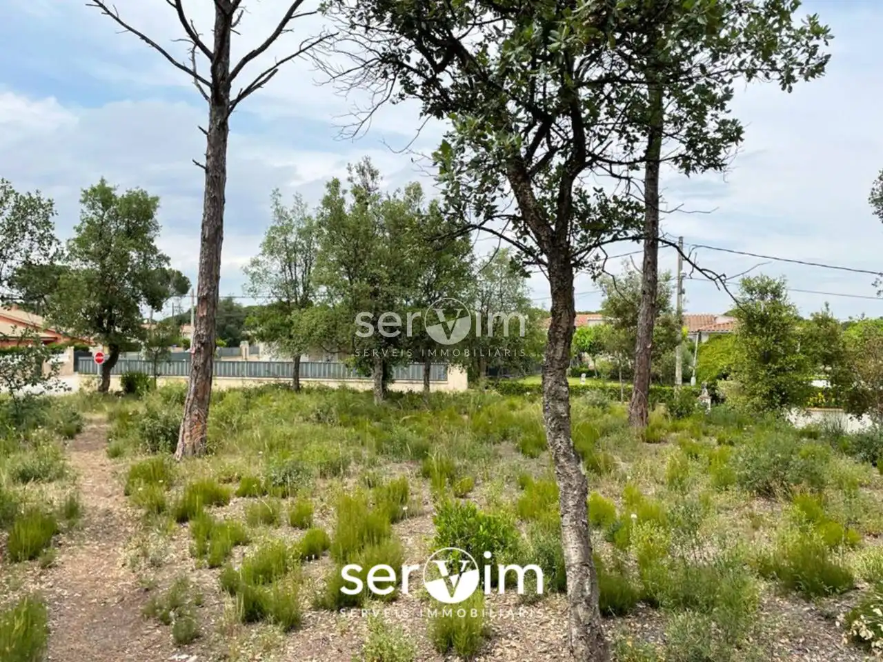 Terrain résidentiel à vendre à Avenida Malavella 208, imagen 3