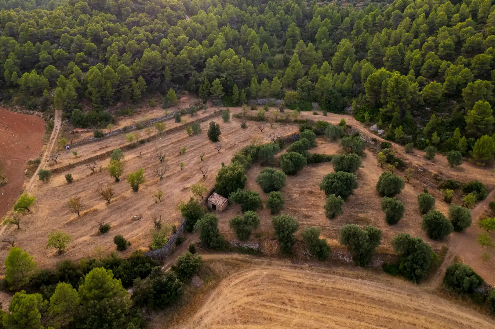 Terreni e lotti in vendita a Lledó, imagen 17
