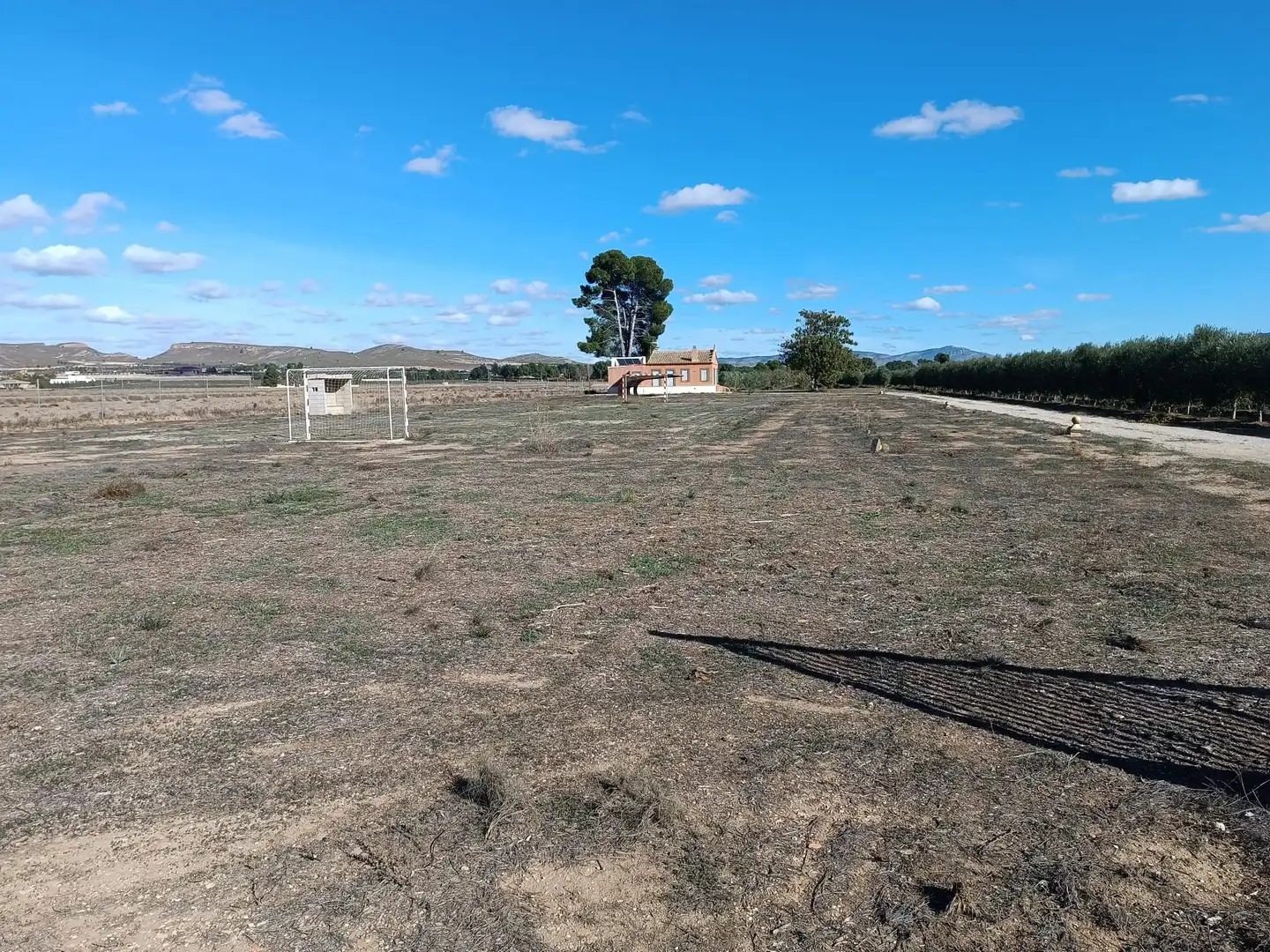 Casa o xalet en venda a Yecla