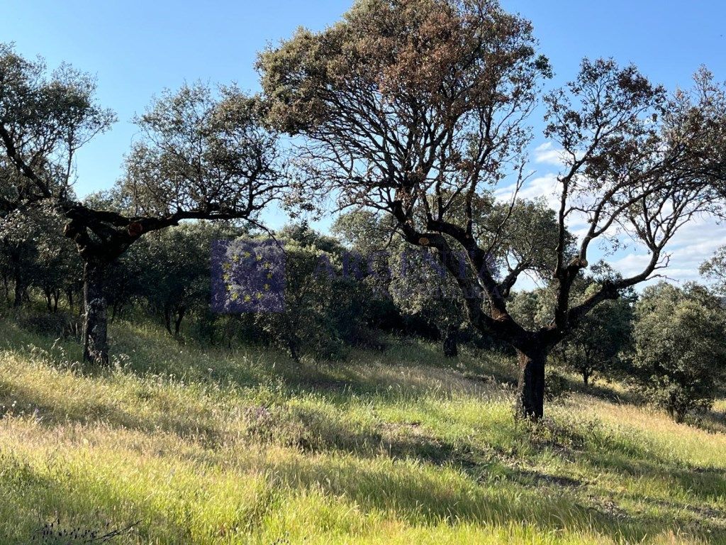 Casa o xalet en venda en Herguijuela