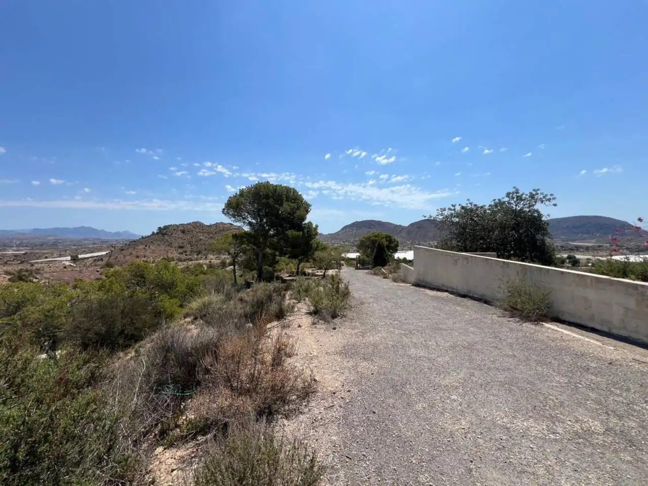 Finca rústica en venda en Alicante / Alacant