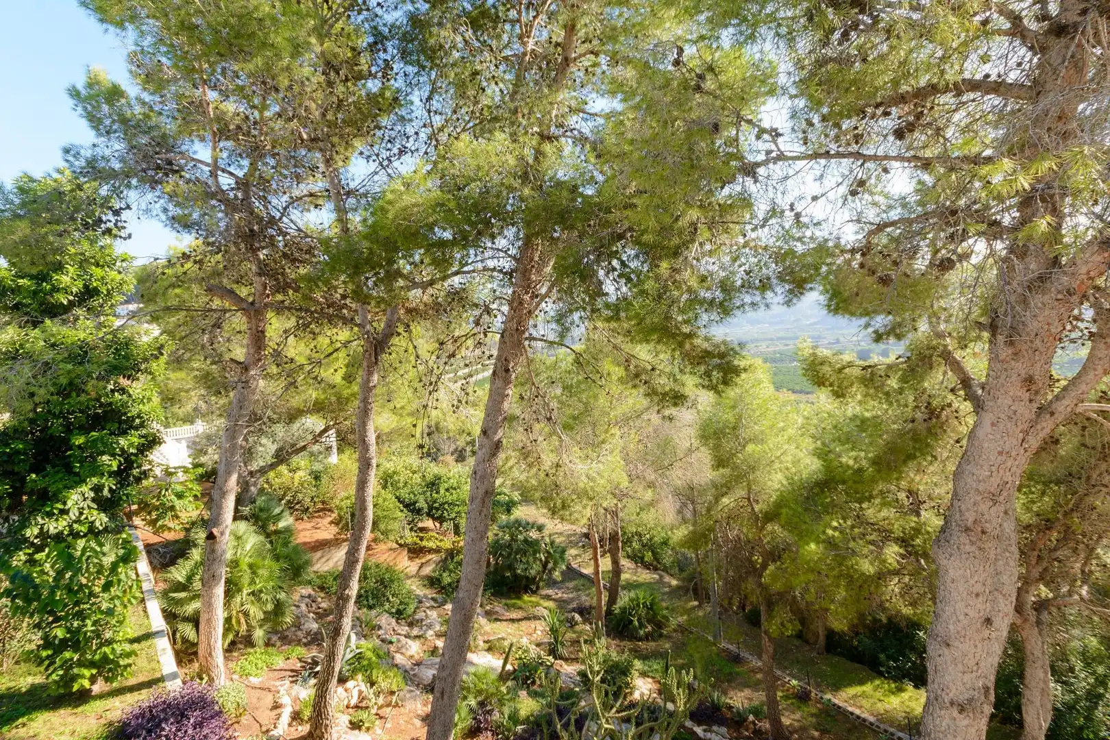 Jardín de Casa o chalet en venta en Gandia con Jardín privado, Terraza y Piscina