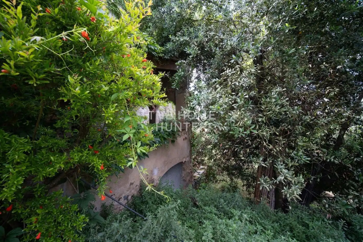 Casa con giardino in vendita a Sant Gregori, imagen 16