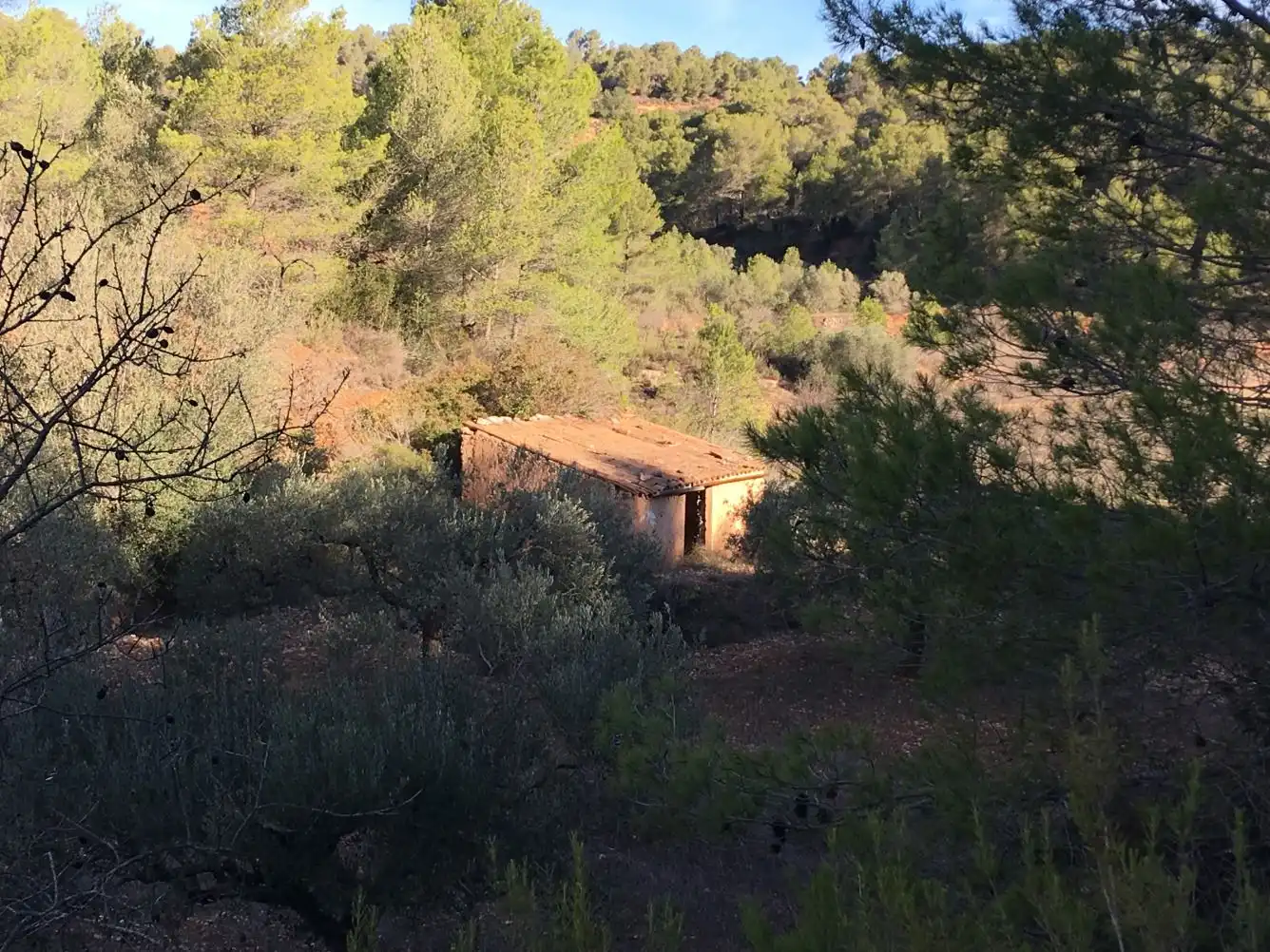 Maison à vendre à El Pinell de Brai, imagen 20