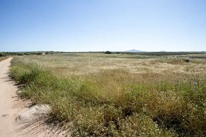 Terreny residencial en venda a Camino Fuente Cordel, imagen 14