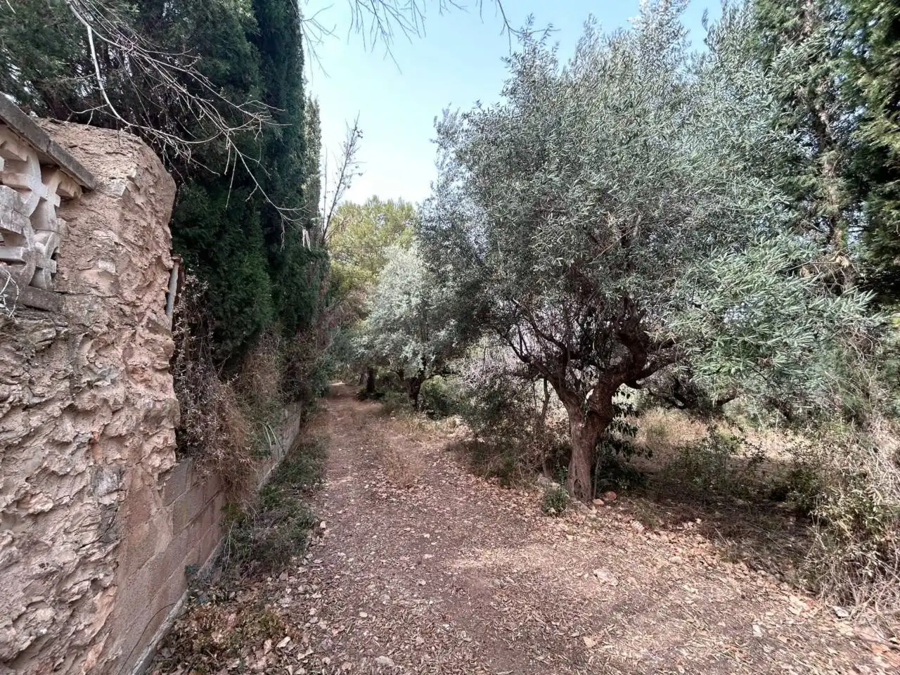 Rustikales Grundstück zum Verkauf in L'Alcora, imagen 11