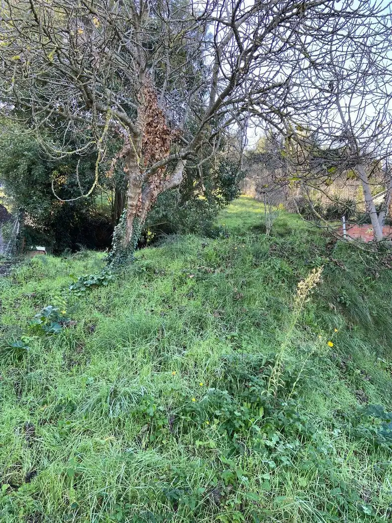 Terreno residencial en venta en Carrer de Alberes 13, imagen 2