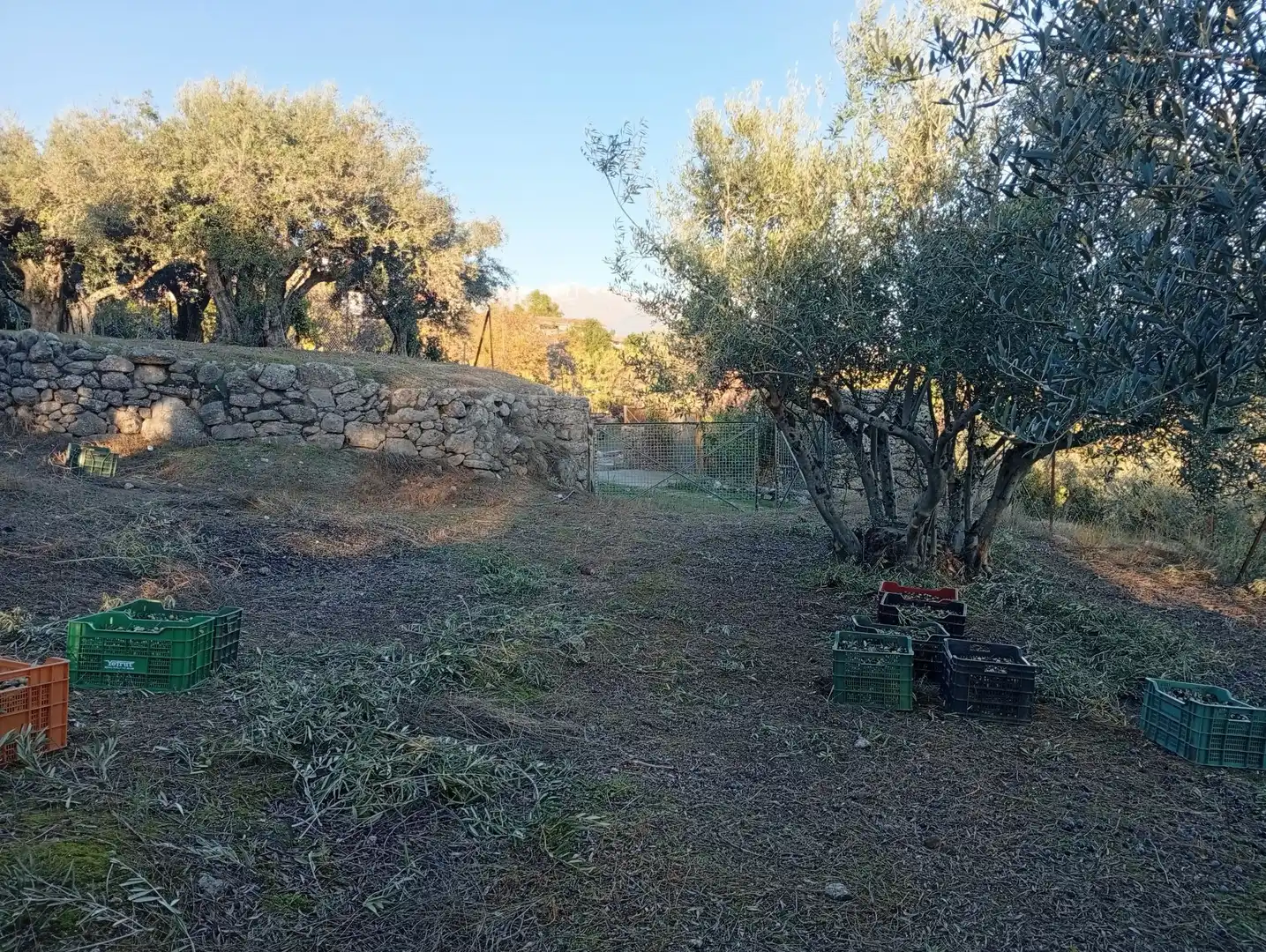 Terreni e lotti in vendita a Villanueva de la Vera, imagen 37