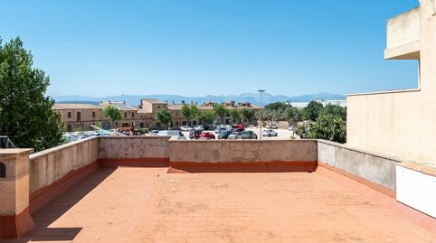 Casa de pueblo a reformar con carácter mallorquín en Algaida, imatge 2