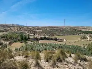 Terreno rústico en venta en Calle Granada