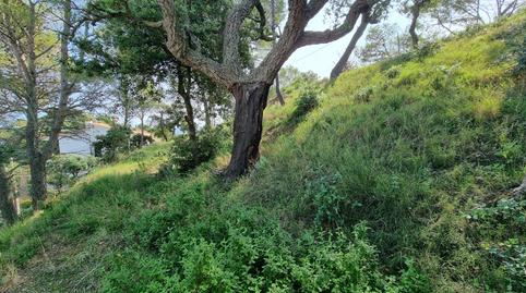Foto 5 de Residencial en venda a Tossa de Mar pueblo, Girona