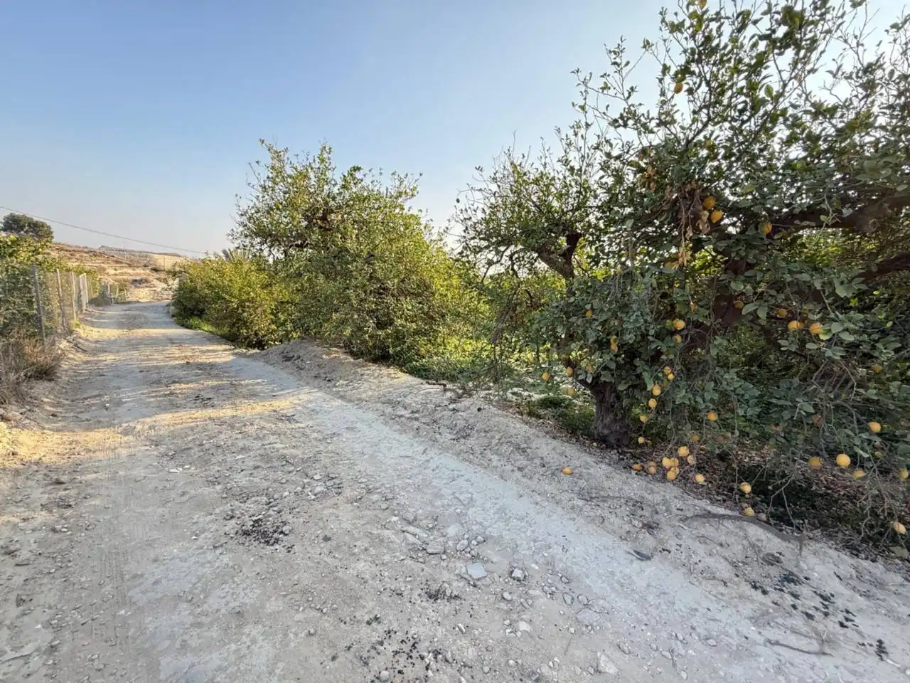 Residential land for sale in Villanueva del Río Segura, imagen 4